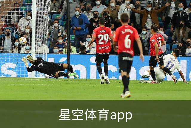 星空体育app公司简介图片